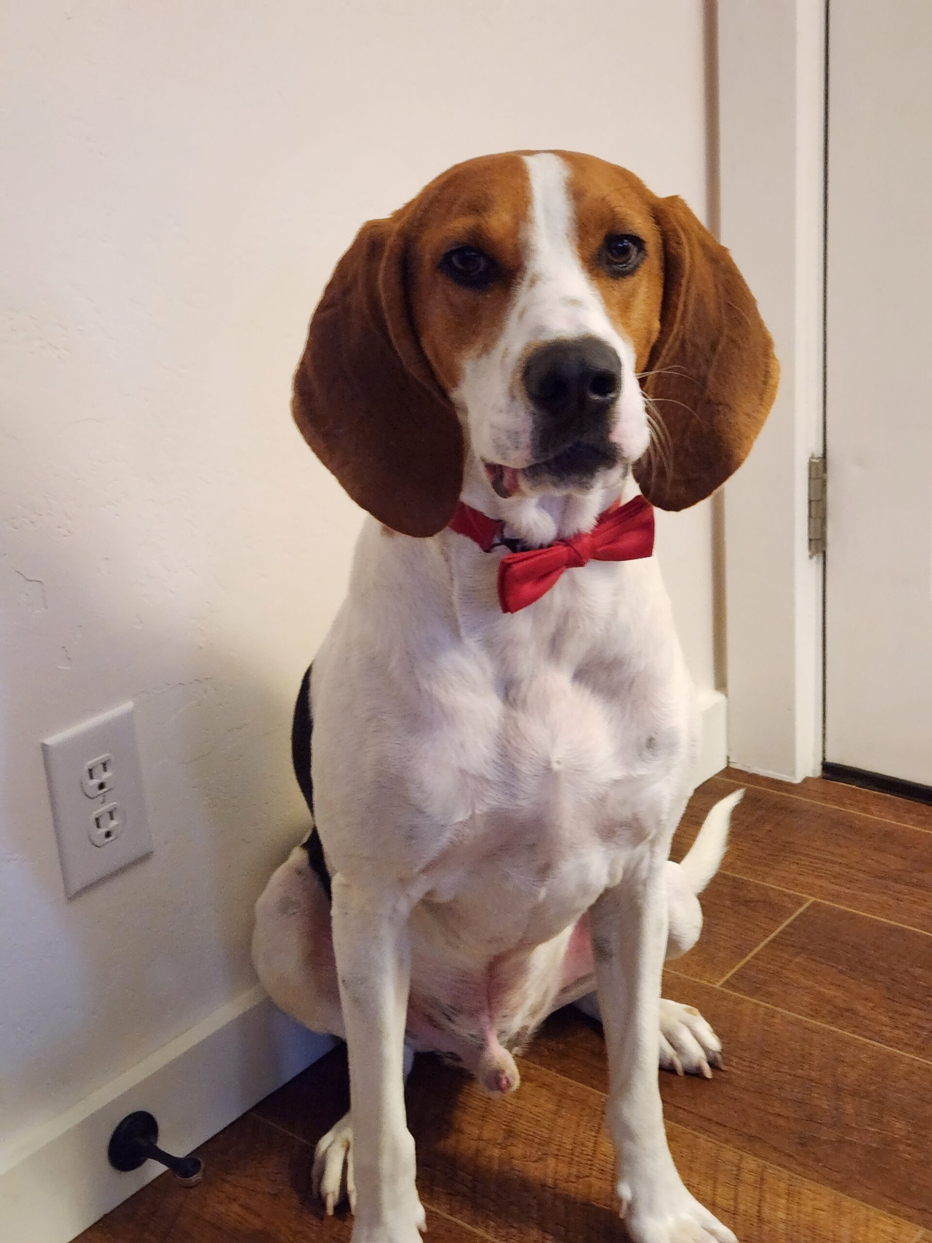 Cooper