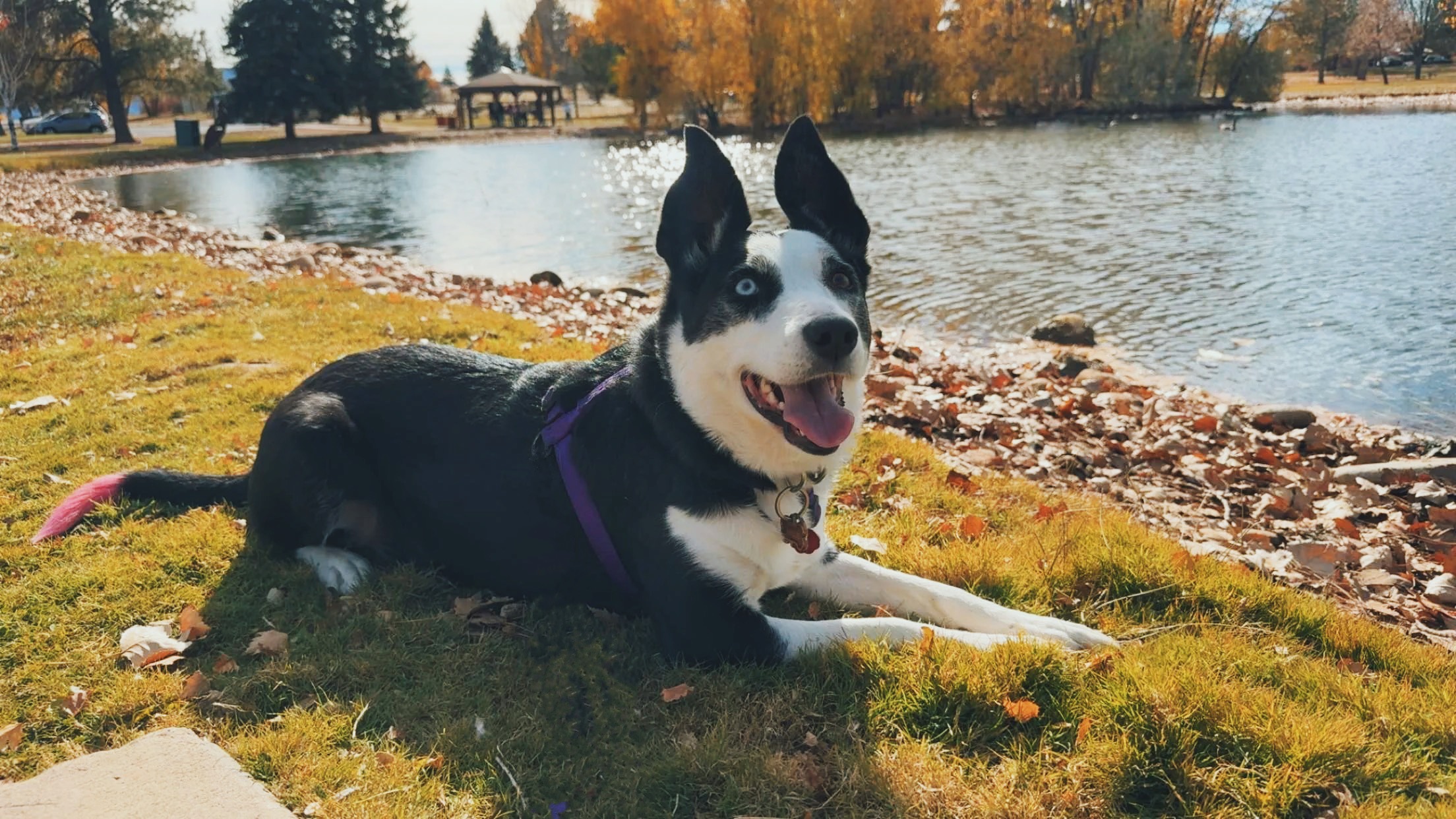 Millie