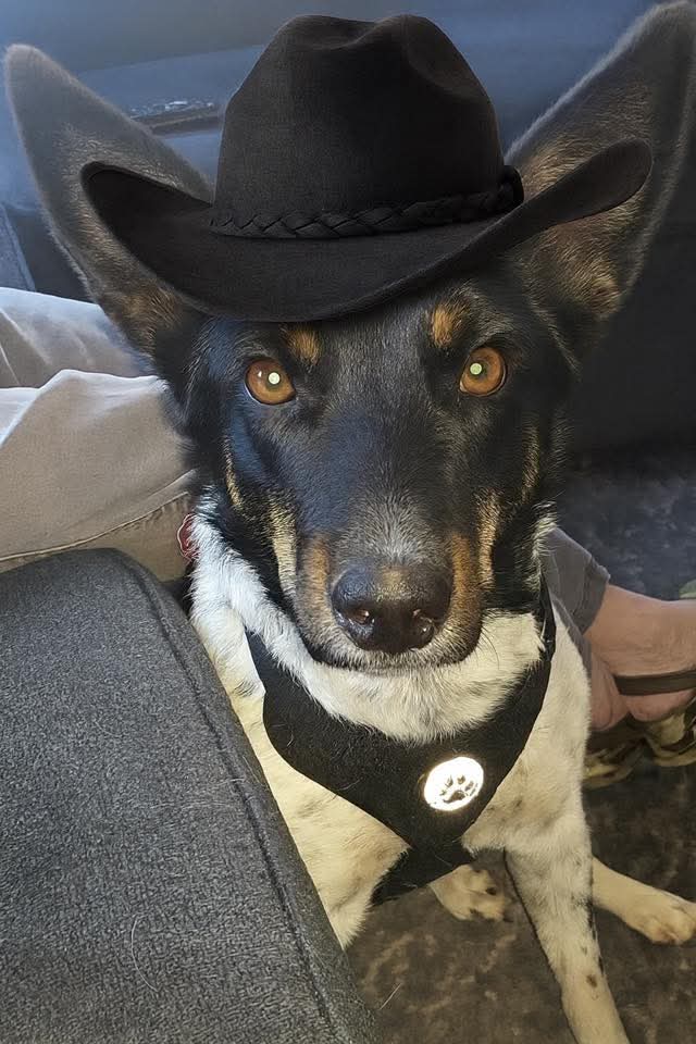 Wyatt Earp