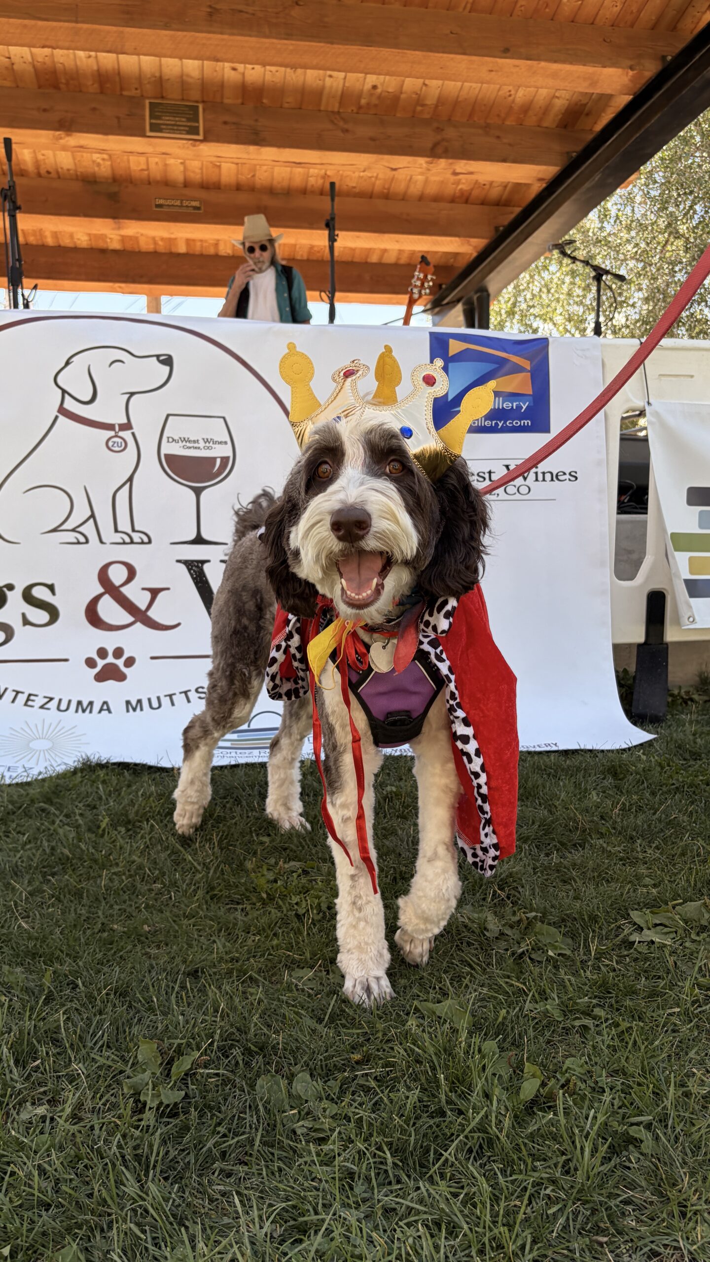 Hazel, Mutt Mayor of Montezuma